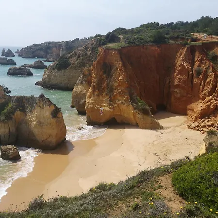 Sun Paradise